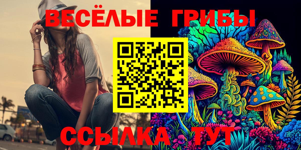 Галлюциногенные грибы Psilocybine cubensis Черногорск