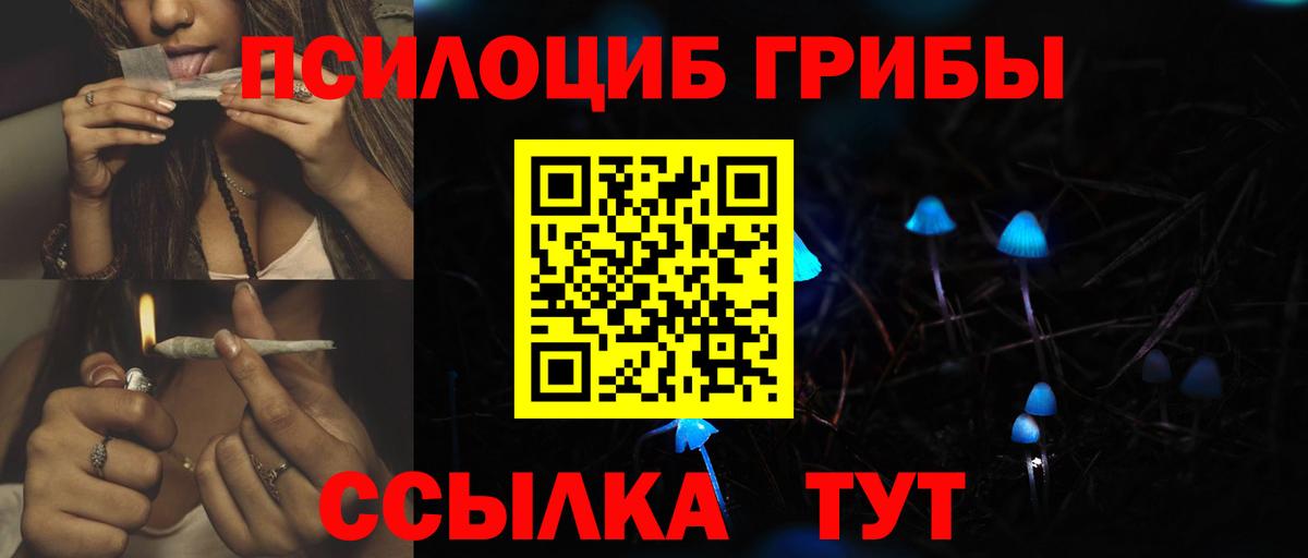 Псилоцибиновые грибы ЛСД  Галлюциногенные грибы прущие грибы  Вход с VPN  Черногорск 